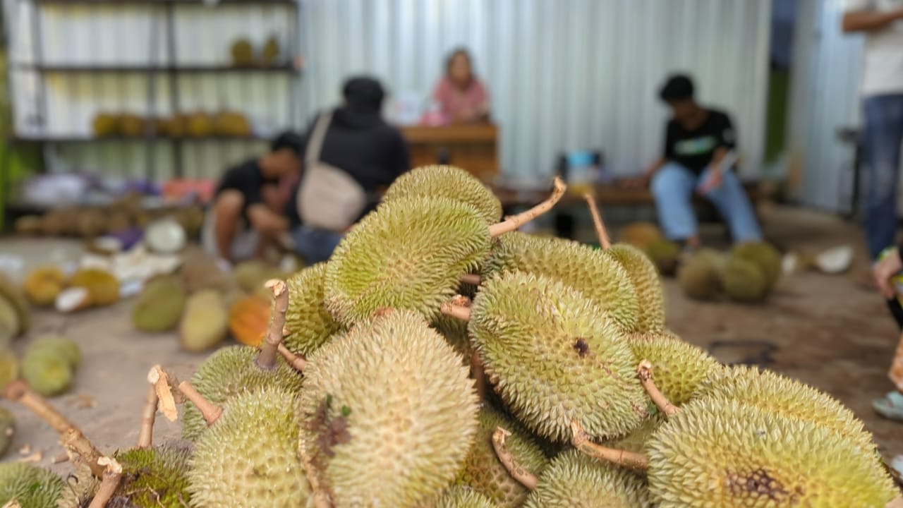 Durian Lokal Pekalongan yang Legit Manis dengan Harga Terjangkau