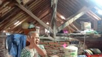 Atap Hampir Menyentuh Kepala, Nurjanah di Jeruksari Menangis Harap Rumahnya Diperhatikan Pemerintah