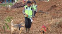 205 Personel dan Tim K9 Dikerahkan Polri Cari Korban Longsor di Cipendeuy