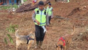 205 Personel dan Tim K9 Dikerahkan Polri Cari Korban Longsor di Cipendeuy
