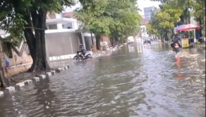 Diduga Drainase Buruk, LSM Robin Hood 23 Angkat Persoalan Banjir di Pekalongan