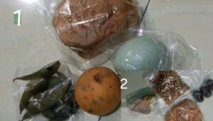 Menu MBG Ramadan Siswa TK di Bojong Dipertanyakan, Orang Tua Soroti Kualitas Buah dan Kecukupan Gizi