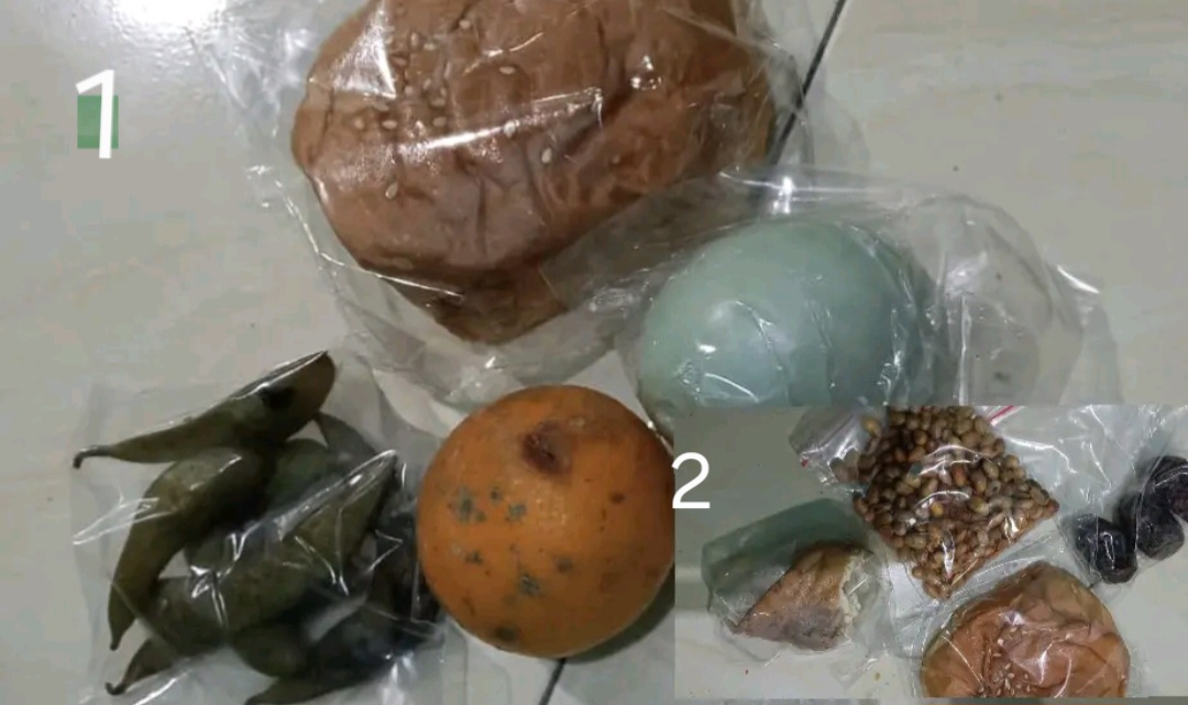 Menu MBG Ramadan Siswa TK di Bojong Dipertanyakan, Orang Tua Soroti Kualitas Buah dan Kecukupan Gizi